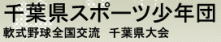 スポーツ少年団軟式野球全国交流 千葉県大会