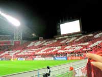 rWA