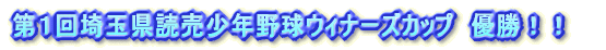 ��P���ʌ��ǔ����N�싅�E�B�i�[�Y�J�b�v�@�D���I�I 