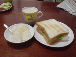 20090817ī��
