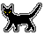 Black Cat