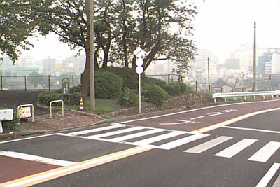 いろは坂桜公園前