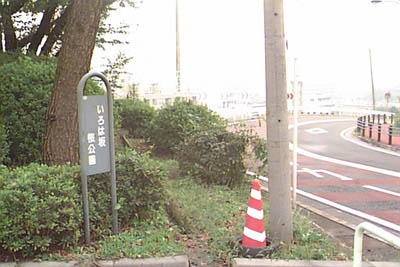 桜公園看板
