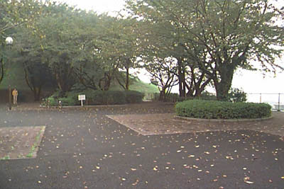 桜公園中