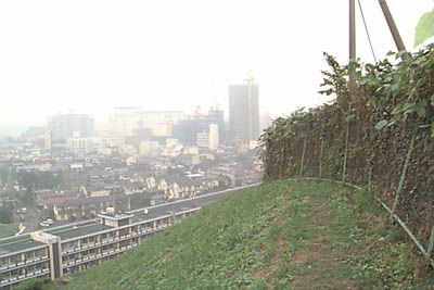 耳丘の上１