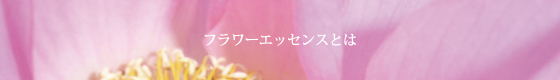 フラワーエッセンスとは