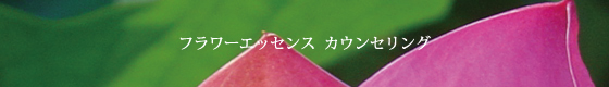エッセンスカウンセリング
