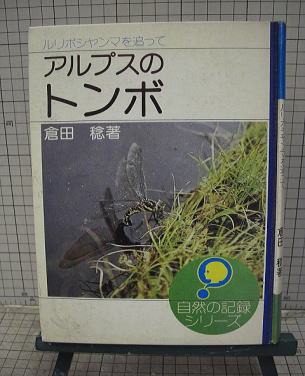 昆虫
