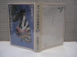 昆虫