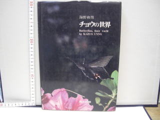 Amazon.co.jp: 原色昆虫大図鑑3 蜻蛉直翅半翅膜翅他篇 朝比奈