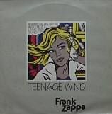 TEENAGE WIND